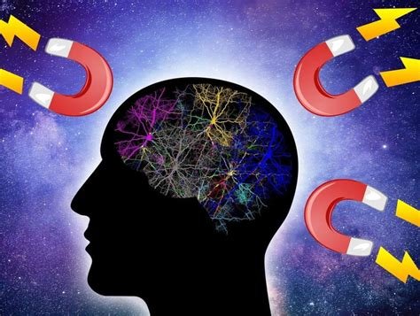 se ve el interior de la cabeza de un hombre simulando un cerebro y sus emociones y unos imanes alrededor